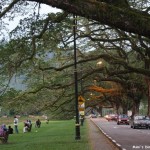 My Footsteps at Taiping~