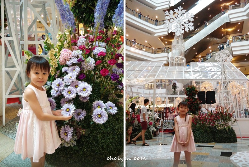 IMG_20151227_173727-horz