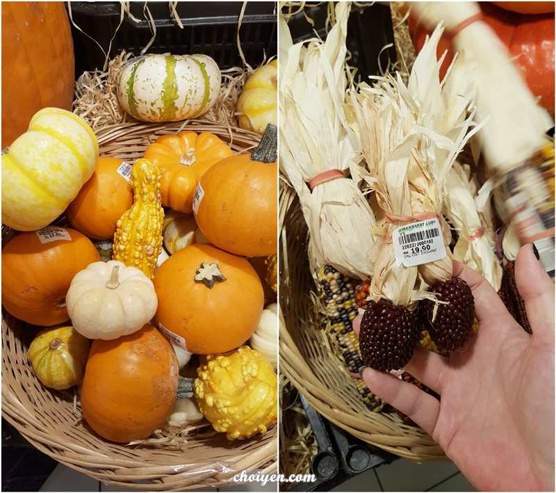 20161009_153912-horz