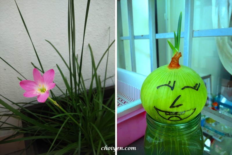 IMG_20160104_104044-horz