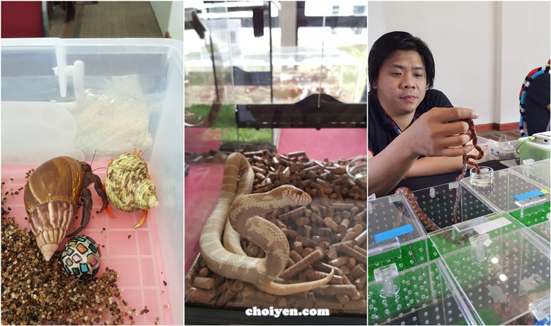 20160731_161255-horz