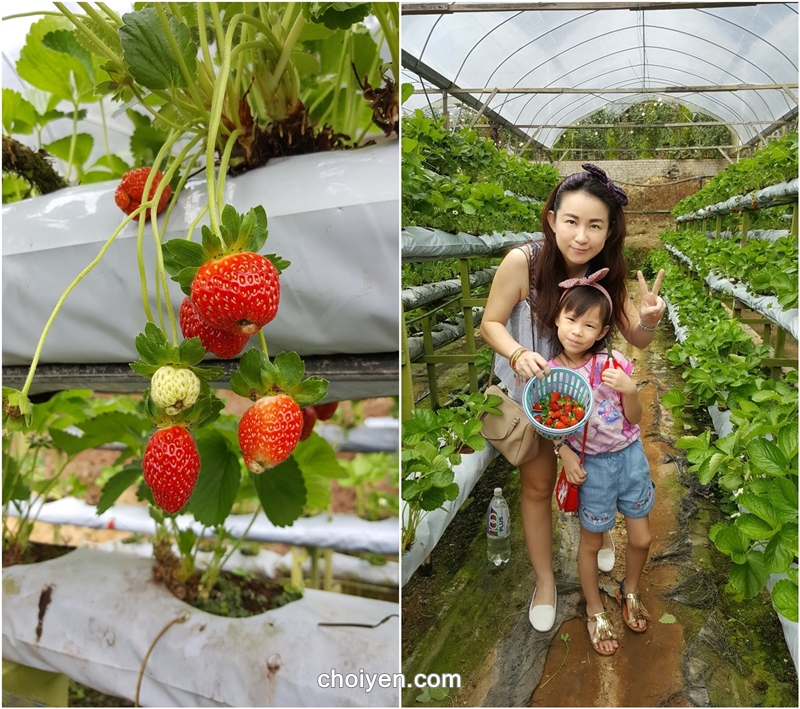 20160820_135208-horz