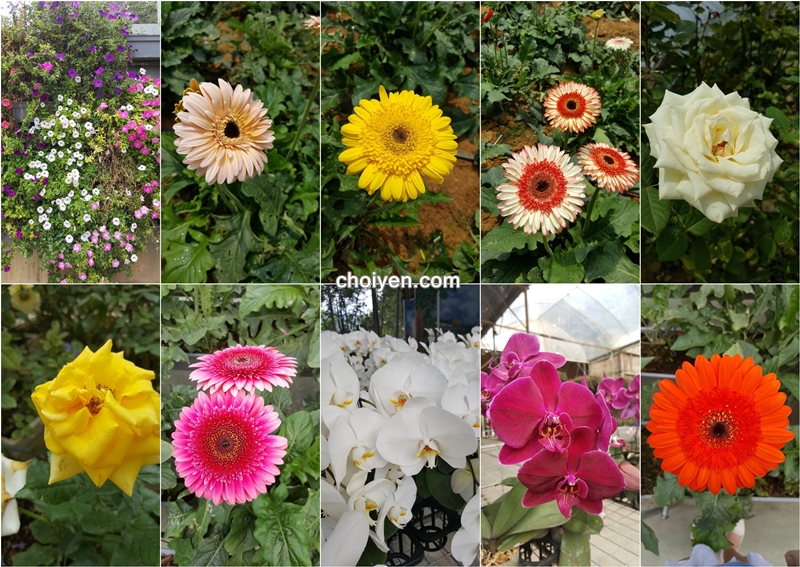 20160820_140259-tile