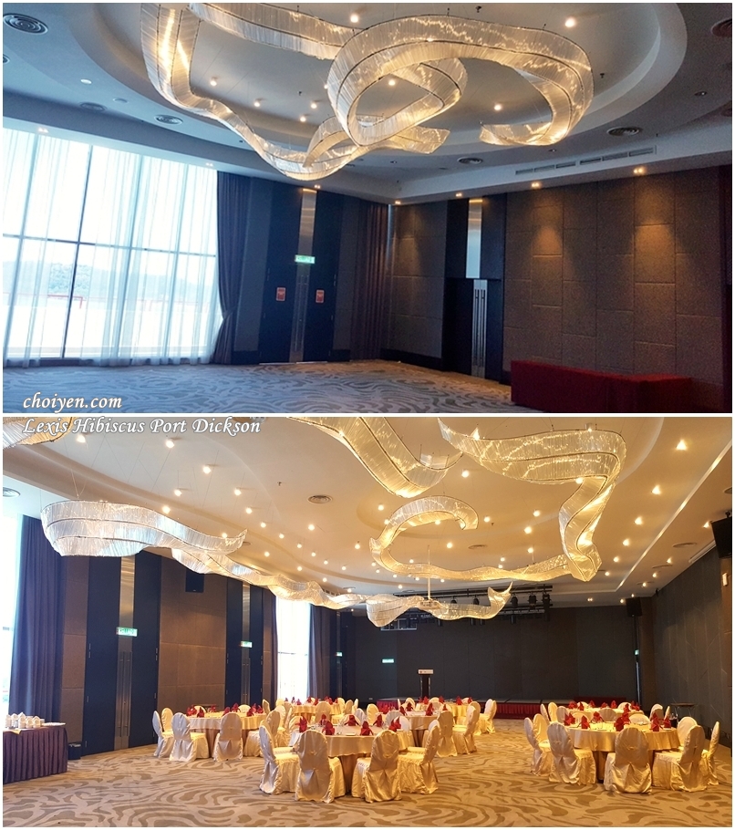 20161112_111134-vert