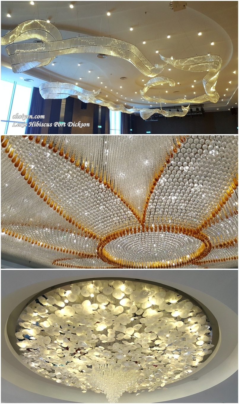 20161112_111208-vert