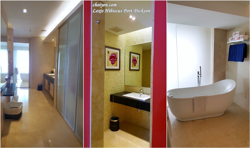 20161112_111751-horz