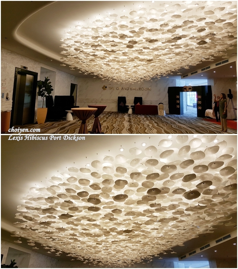 20161112_115115-vert