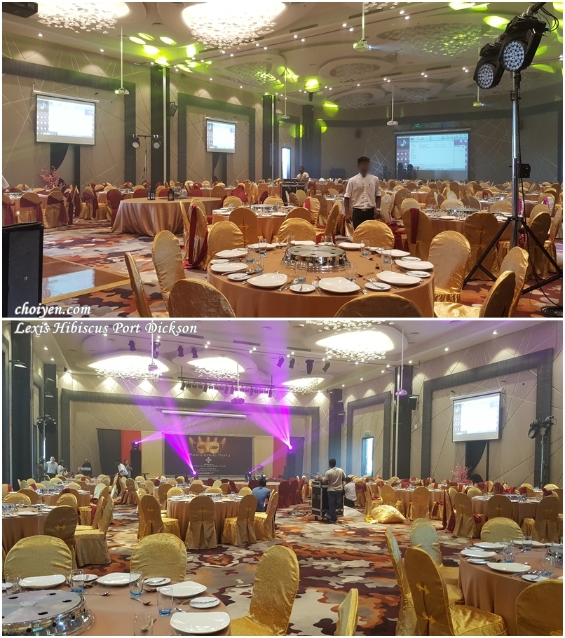 20161112_115253-vert