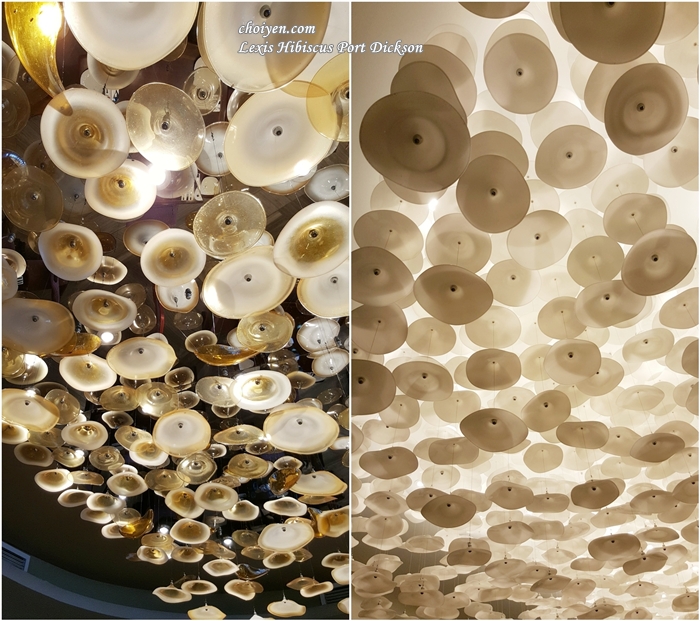 20161112_120627-horz