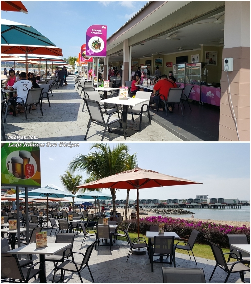 20161113_104330-vert